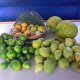 26- Quelques fruits recoltes en chemin 